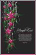 floral illustration floral illustration
