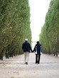 Couple walking together