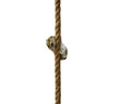 Hamster clinging on a rope