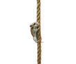 Climbing hamster