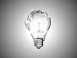 Failed idea. Smashed lightbulb over grey