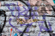 Street Graffiti