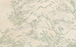 Aged japanese traditional paper with a floral print Aged japanese traditional paper with a floral print