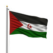 Flag of the Sahrawi Arab Democratic Republic waving