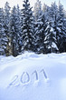 Image : 2011 im Winterwald