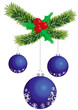 three blue Christmas balls hanging on spruce twig