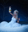 frozen fairy