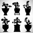 Bonsai Tree rastlín kvetináč