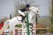 Photo en ligne au meilleur prix Equitation