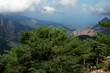 Corse Bavella Corse Bavella