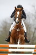 Equitation Equitation