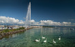 El lago