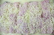 endives au jambon
