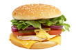 Sandwich hamburger