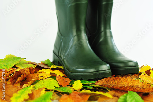 Foto: Autumn walk Autumn walk