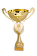 Golden cup