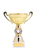 Golden cup