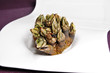 percebes percebes
