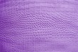 Foto: Texture of crocodile leather in lilac Texture of crocodile leather in lilac