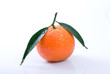 Fresh mandarin orange on white background Fresh mandarin orange on white background