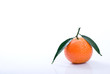 Fresh mandarin orange on white background Fresh mandarin orange on white background
