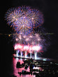 Flower shaped fireworks