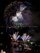 Flower shaped fireworks