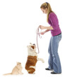 woman and her pets