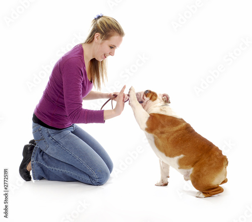 Photo: dog obedience training dog obedience training