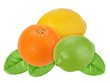 Fruits of orange, lemon and lime with green leaf Fruits of orange, lemon and lime with green leaf