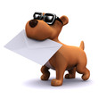3d Small dog fetches the post