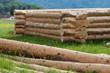 Holzhausbau