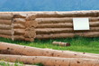 Holzhausbau