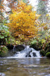 Carpathian Mountains in autumn