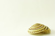 Side view of seashell