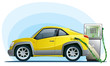 eco car on the bio fuel