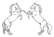 Horses