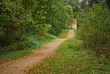 Path in a park