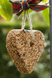 Herz aus Vogelfutter