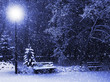 Bench, christmastree and lantern