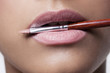 Pink Lips with Lipbrush Pink Lips with Lipbrush