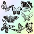 set of buttrflies