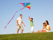 Young family, parents with children,  playing in a field