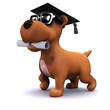 3d Small dog graduates from puppy school
