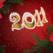 Nouvel An 2011