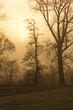 morgenstimmung