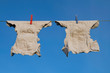 Two cloth diapers on a clothes line Two cloth diapers on a clothes line
