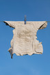 Cloth diaper on a wash line Cloth diaper on a wash line