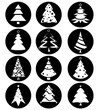 pine tree
