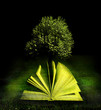 book with tree